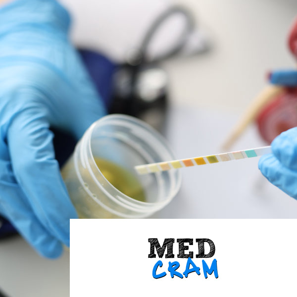 MedCram: Urinalysis Explained Clearly