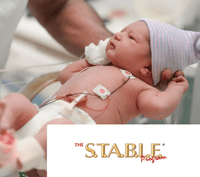 Stable Program Book The S.T.A.B.L.E. Program Online 7th Ed. Includes Foundations