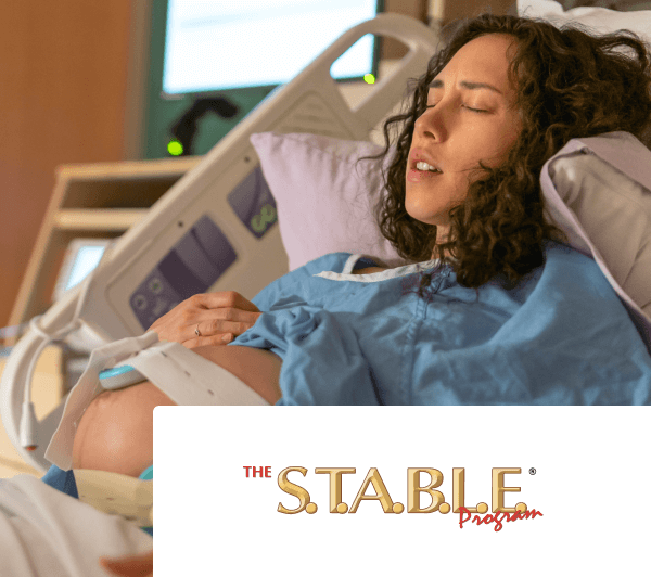 S T A B L E FOUNDATIONS MODULE ONLINE visual data 7